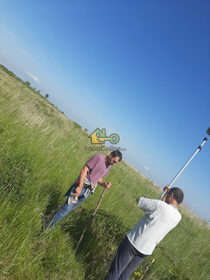 Teren Extravilan, Dealu Viilor, Lugoj - Poză 2