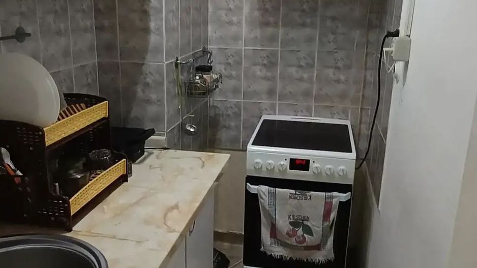 garsoniera - Lucretiu Patrascanu - Costin Georgian - Poză 6