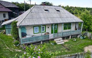 Ferma agricola, plantatii de mure, trandafiri, vita-de-vie - Poză 5