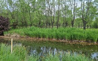 CASA 3 CAMERE, TEREN 6200 MP + 2 LACURI, CAMPULUNG, NAMAIESTI - Poză 37