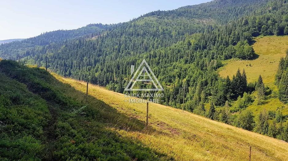 7130 mp TEREN INTRAVILAN ARIESENI-ALBA langa viitoarea partie de SCHI - Poză 1