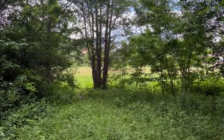 Teren intravilan 683 mp deschidere la strada asfaltata ! - Poză 20