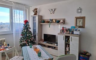 Panoramic Spațios IOR Baba Novac Câmpia Libertății - Poză 1