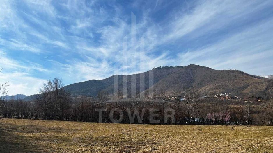 Teren intravilan 2.295 mp, deschidere 60 m – Rășinari, comision 0% - Poză 5