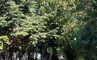 Casă individuală Buftea, 3.162 mp teren, ieșire spre lac - Poză 45