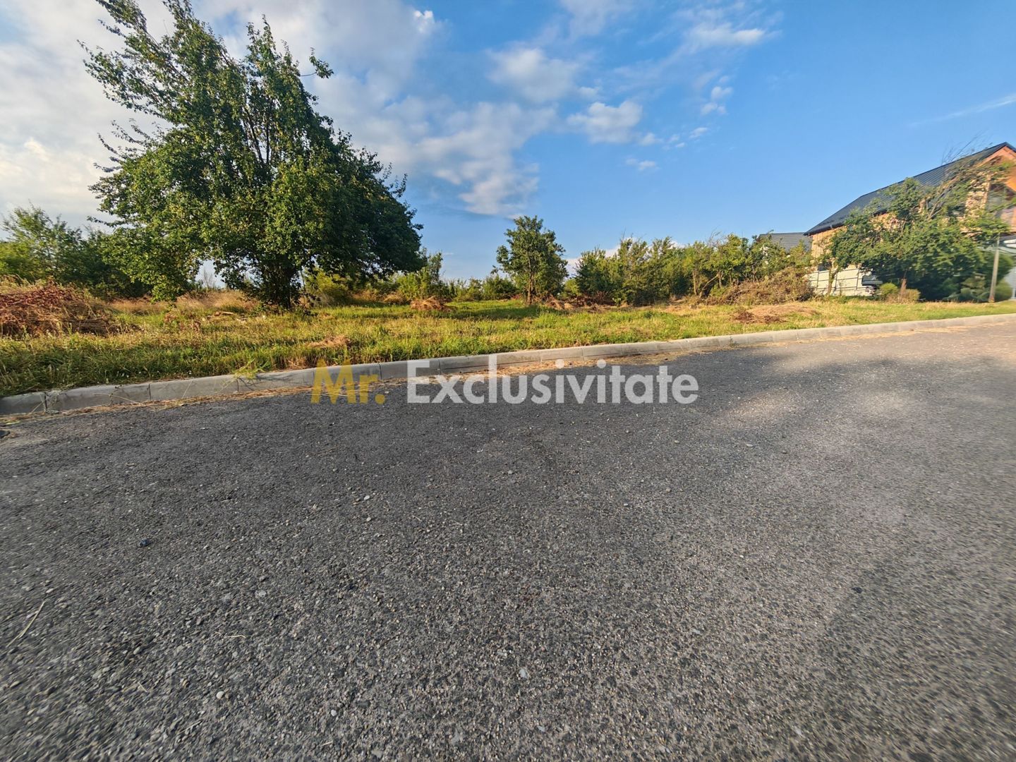 Teren intravilan 1.600 mp Mioveni – Zona Pruni - Poză 1