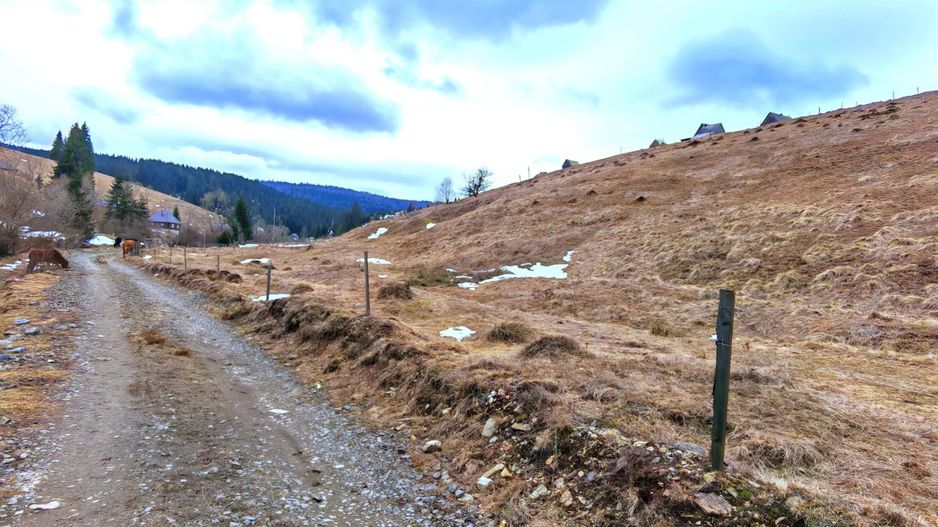 8.263 mp Teren cu Pârâu și Izvoare în Beliș-Fântânele, Cluj - Poză 6