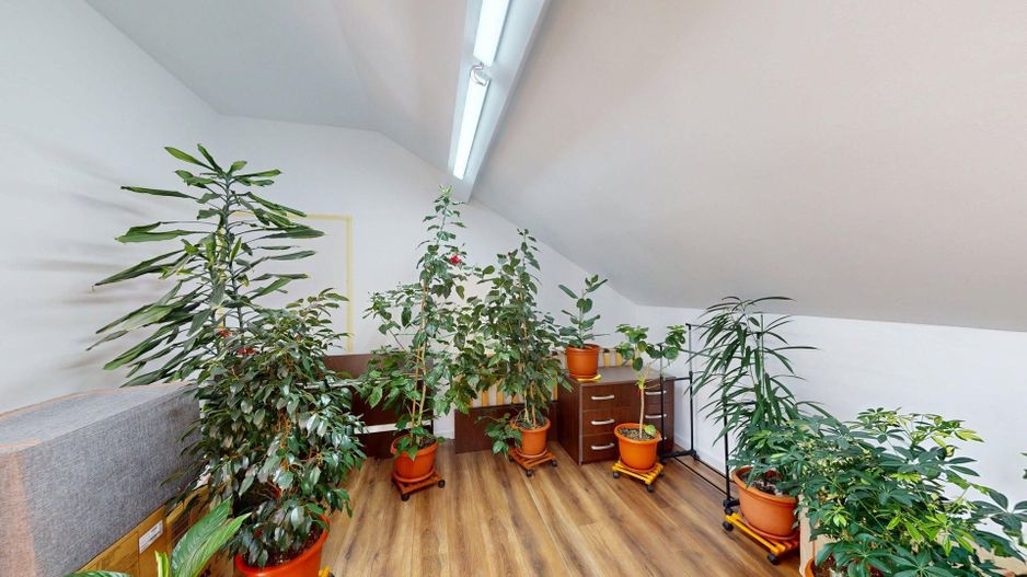 Casa Individuala Voluntari - P+M - Gradina superba - Oferta PROMO - Poză 21