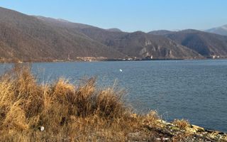 De Vânzare Teren Berzeasca langa Dunăre - Poză 1