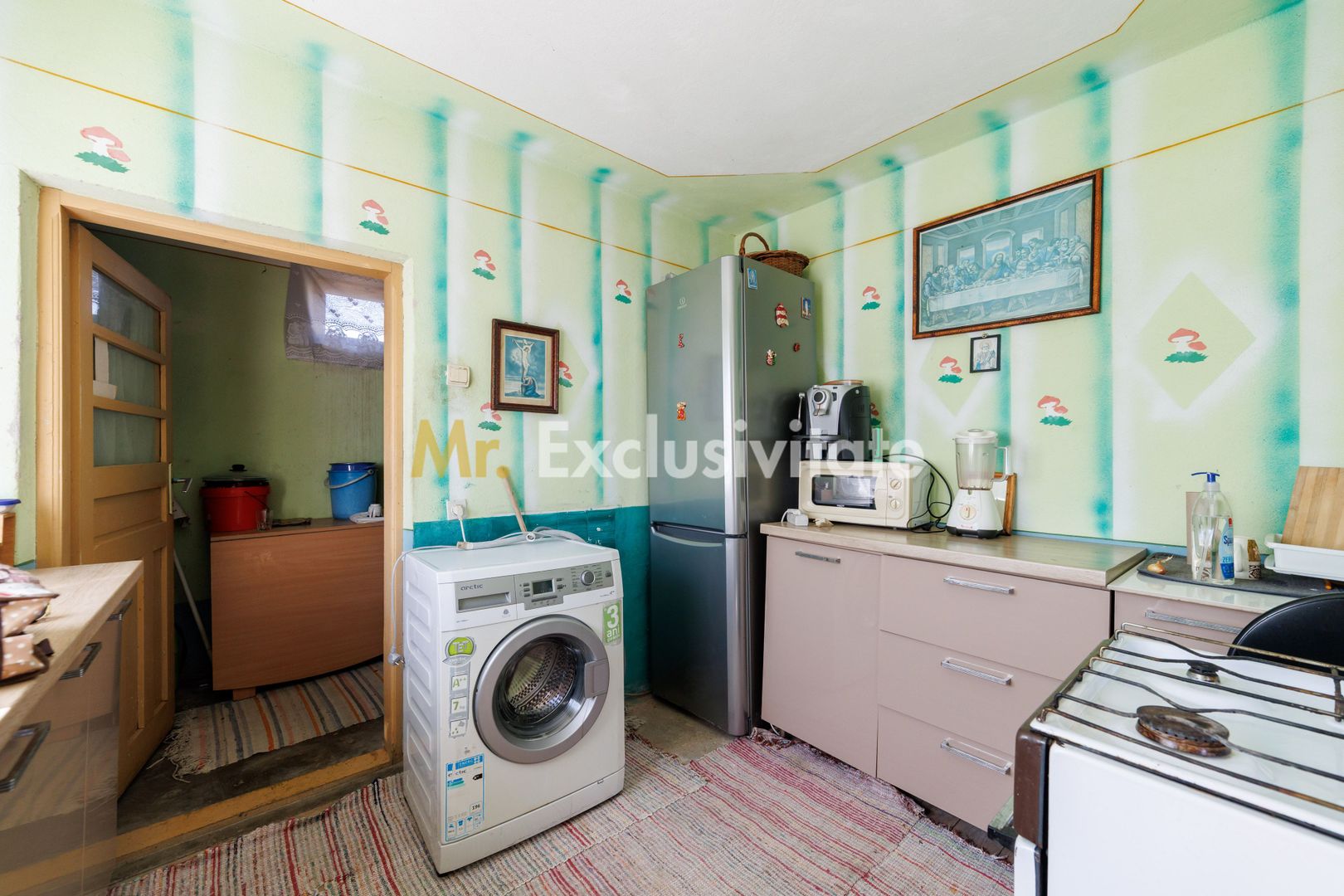 CASA SI GOSPODARIE DE VANZARE – SPINENI, OLT | 4.000 MP TEREN - Poză 5