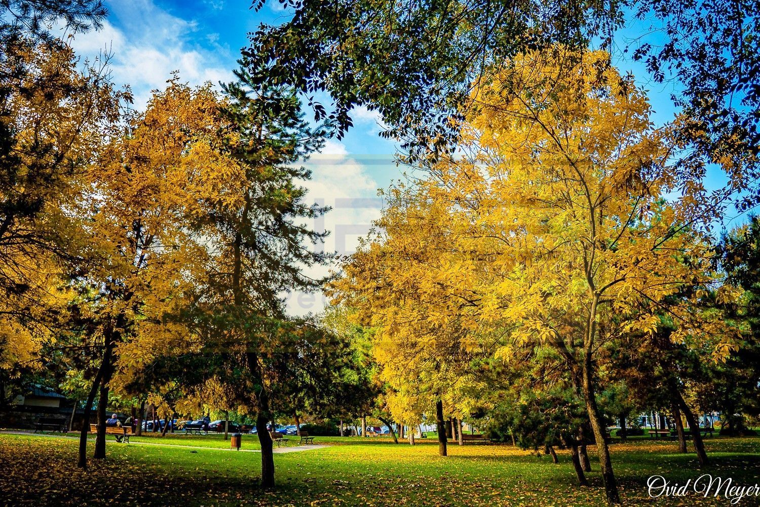 Apartament 2 camere decomandat zona Podul de Fier - Poză 21