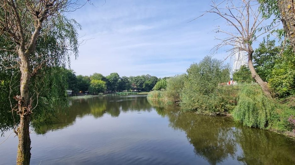 Teren 2000 mp de vânzare – Comana, deschidere la lac, aproape de Parcu - Poză 10