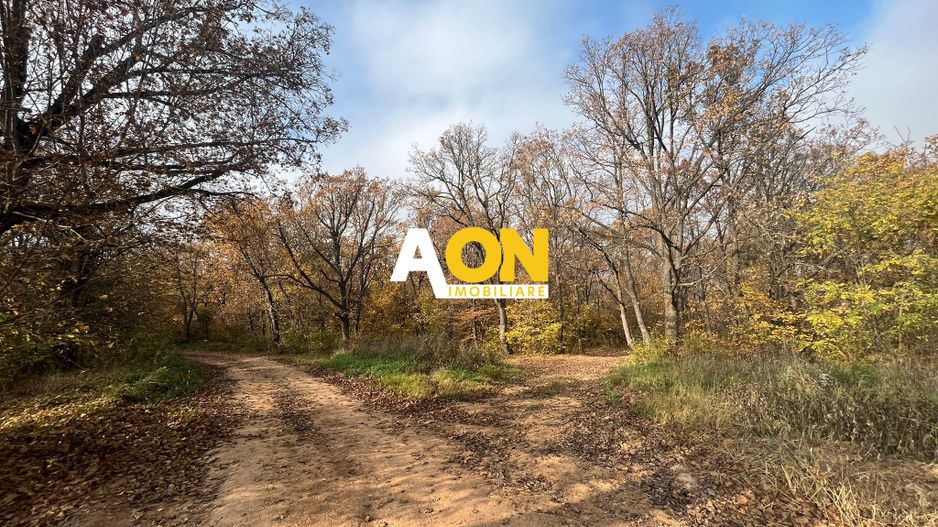 Teren de vanzare,  zona exclusivista,  2400MP - Poză 4