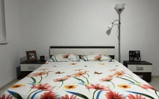 COMISION 0% | Apartament 1 Camera | Zona Buziasului | Etaj 2 | 32 mp - Poză 4