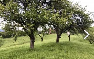 TEREN 2530 MP, INTRAVILAN, CAMPULUNG, 37000 EURO - Poză 5