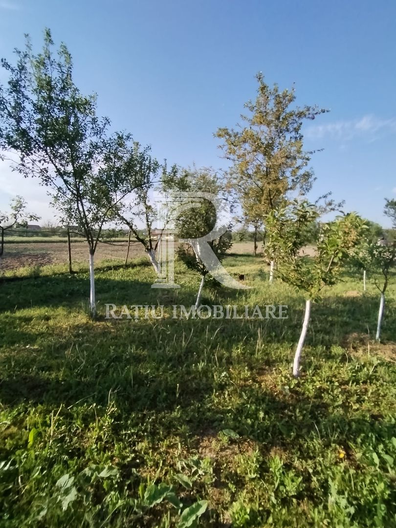 Casa cu 3 camere | Picleu | Bihor - Poză 13