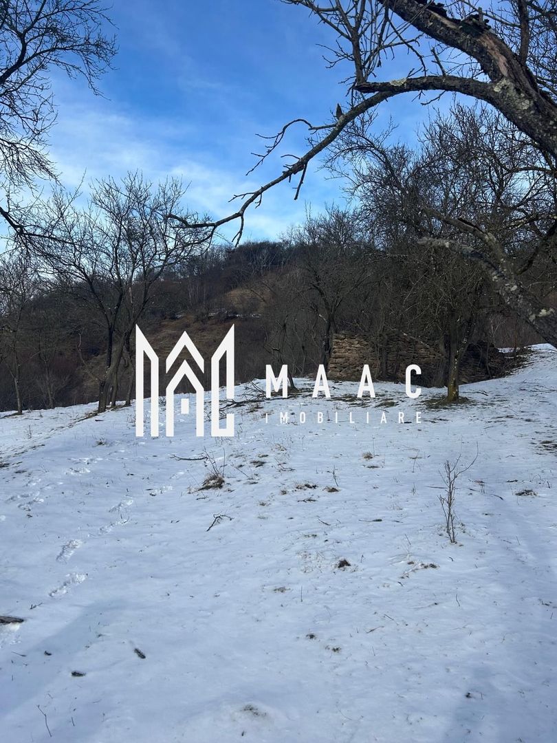 Teren de vânzare, 7750 mp I Orientare sudică I Caineni - Poză 2