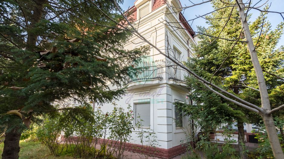 Vila spatioasa in zona Erou Iancu Nicolae - British School - Poză 2