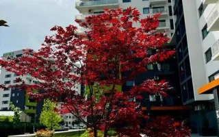 Apartament 2 camere open space în Oradea - Poză 20