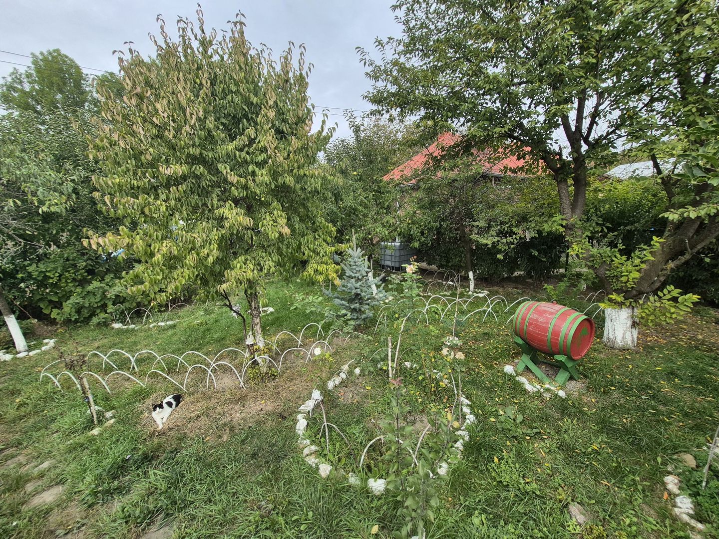 Vila 4 camere + teren 818 mp central Provita de Sus (lângă școală) - Poză 51