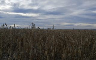 Teren intravilan I Zona Calea Surii Mici- Magnolia - Poză 1