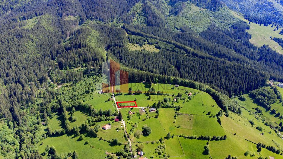 Teren la munte - 3.851 mp Bran - Poză 9