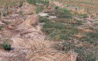 Teren Intravilan 500 mp de Vânzare – Vidra - Poză 5
