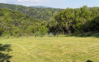 TEREN 3200 MP GODENI ARGEȘ - Poză 7