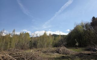 Teren intravilan de vanzare - Vistisoara - Poză 2