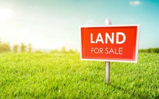 Oportunitate de investitie | Teren extravilan | Viisoara - Poză 1