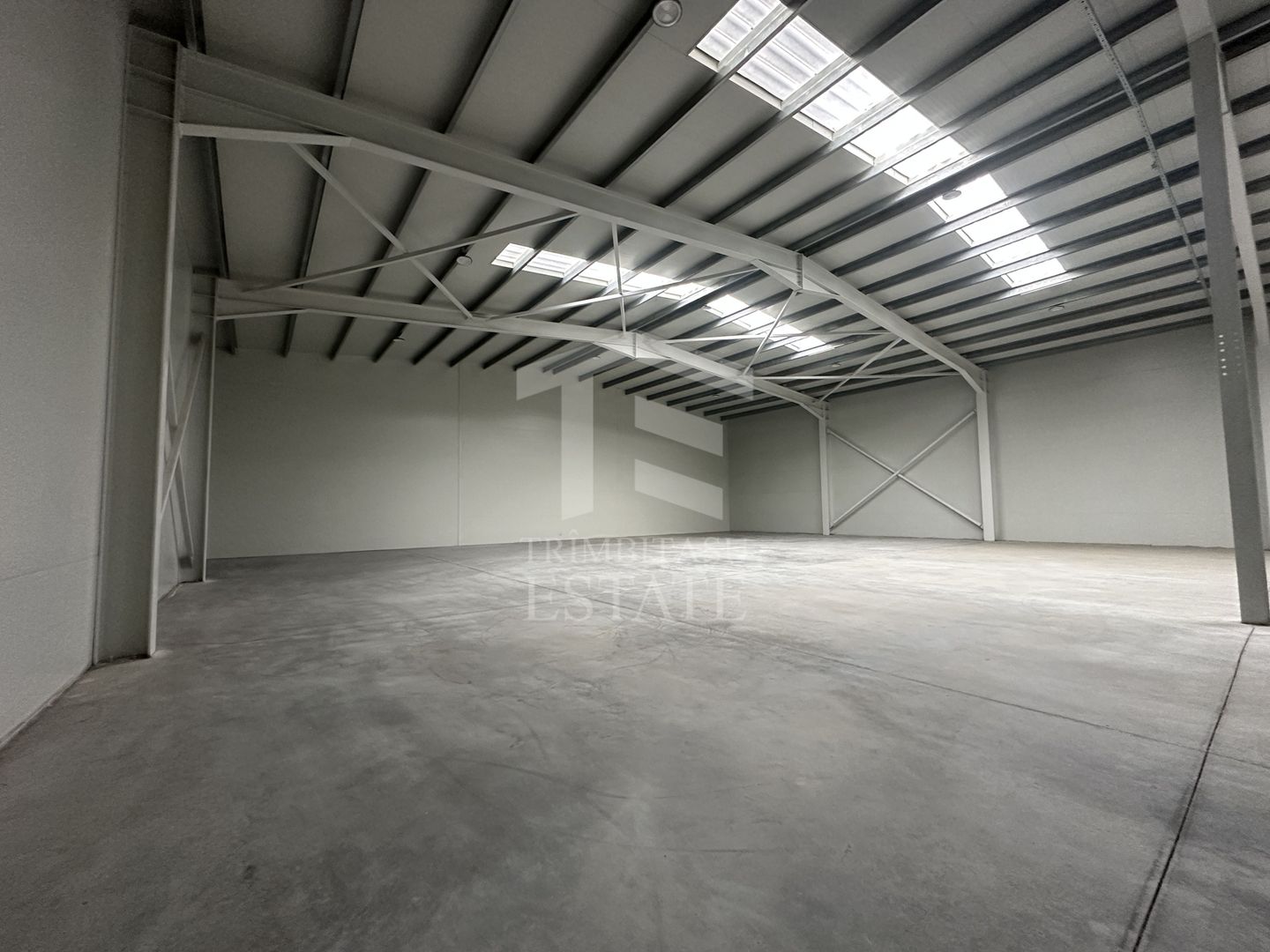 CENTURA - Rudeni | HALA 510 mp| Birouri 60mp | Parc Industrial nou - Poză 4