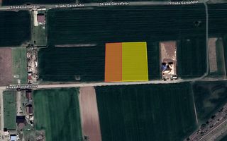 Teren intravilan 1000+2000mp Caciulati Ilfov - Poză 1