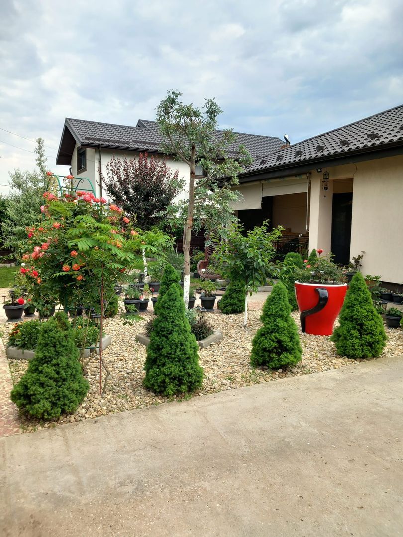 Parter cu structură pentru etaj, curte amenajată și organizare impeca - Poză 19