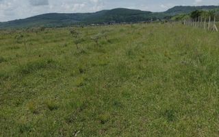 Teren 23700 mp (2,37 ha)-ideal investitie,cabana-Sesul Jelnei - Poză 2