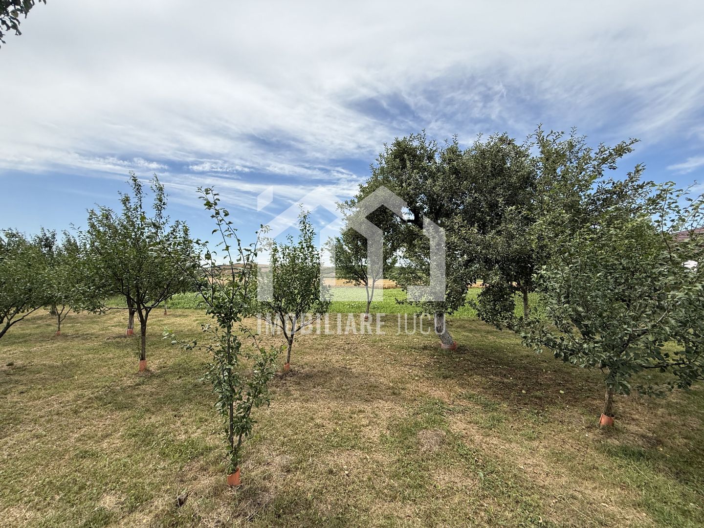 Teren intravilan – 1.945 mp | Fundătura, comuna Iclod - Poză 2