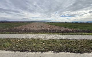 Teren intravilan | 9600 mp | Șură Mică | Utilități | Drum Asfaltat - Poză 2