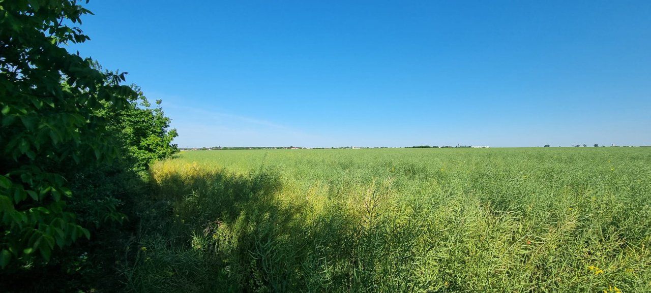 Ferma de Cultura Mare 1100 HA - Poză 6