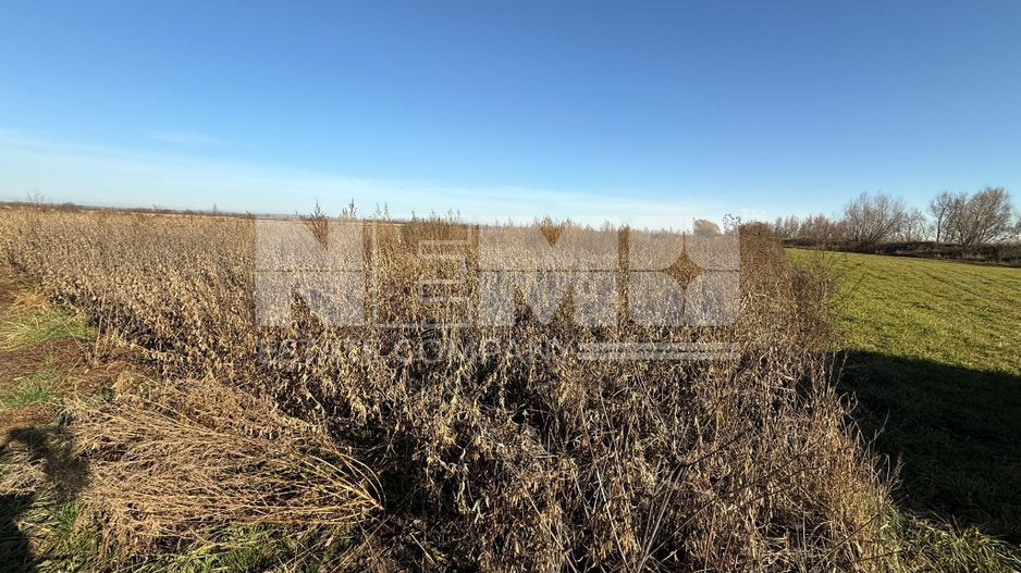 TEREN EXTRAVILAN | 35 ARI | HORODNIC DE JOS | - Poză 8