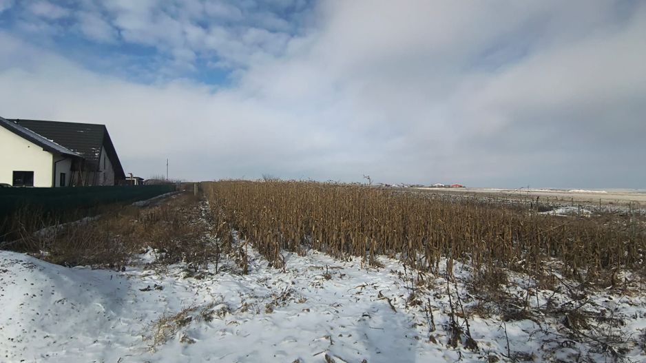 Teren de vânzare Șcheia | Sfantu Ilie | 3.361 mp - Poză 6