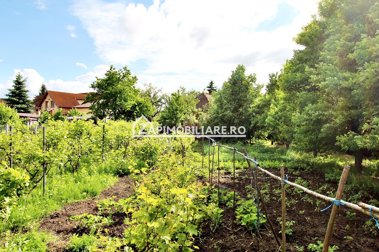 Unirii - Teren intravilan 4800 mp - la sosea - Poză 4