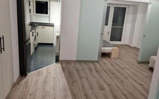 STUDIO TEIUL DOAMNEI, BOILER, BUCATARIE INCHISA, MOBILAT/UTILAT - Poză 2