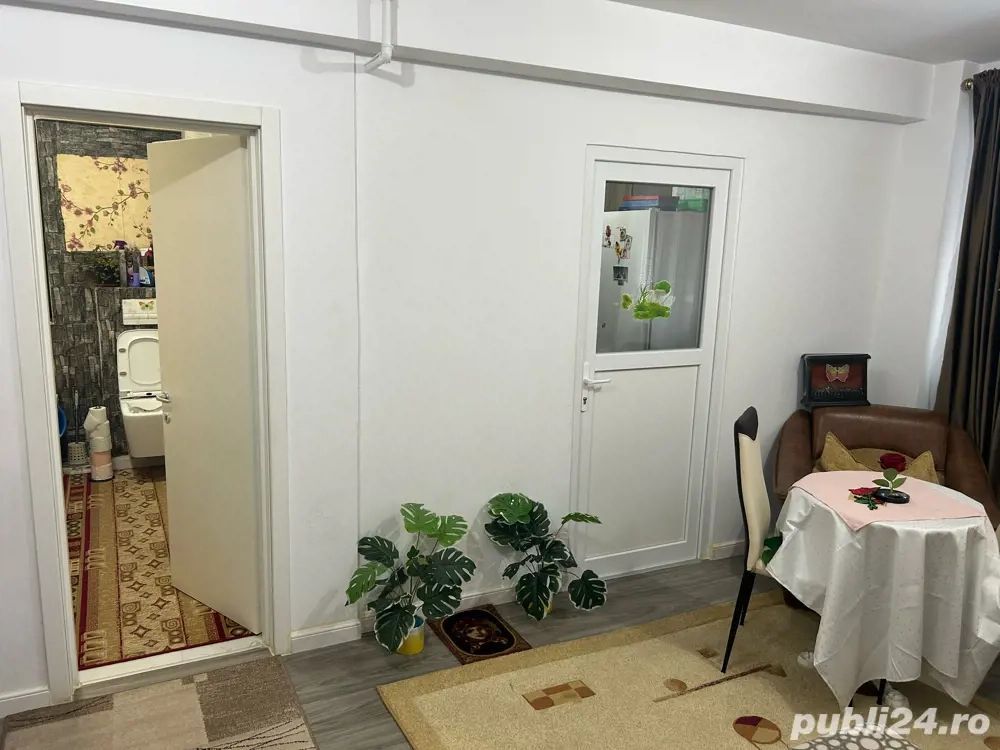 Apartament 1 camera 33 mp Bucium Visan 65000 euro - Poză 2
