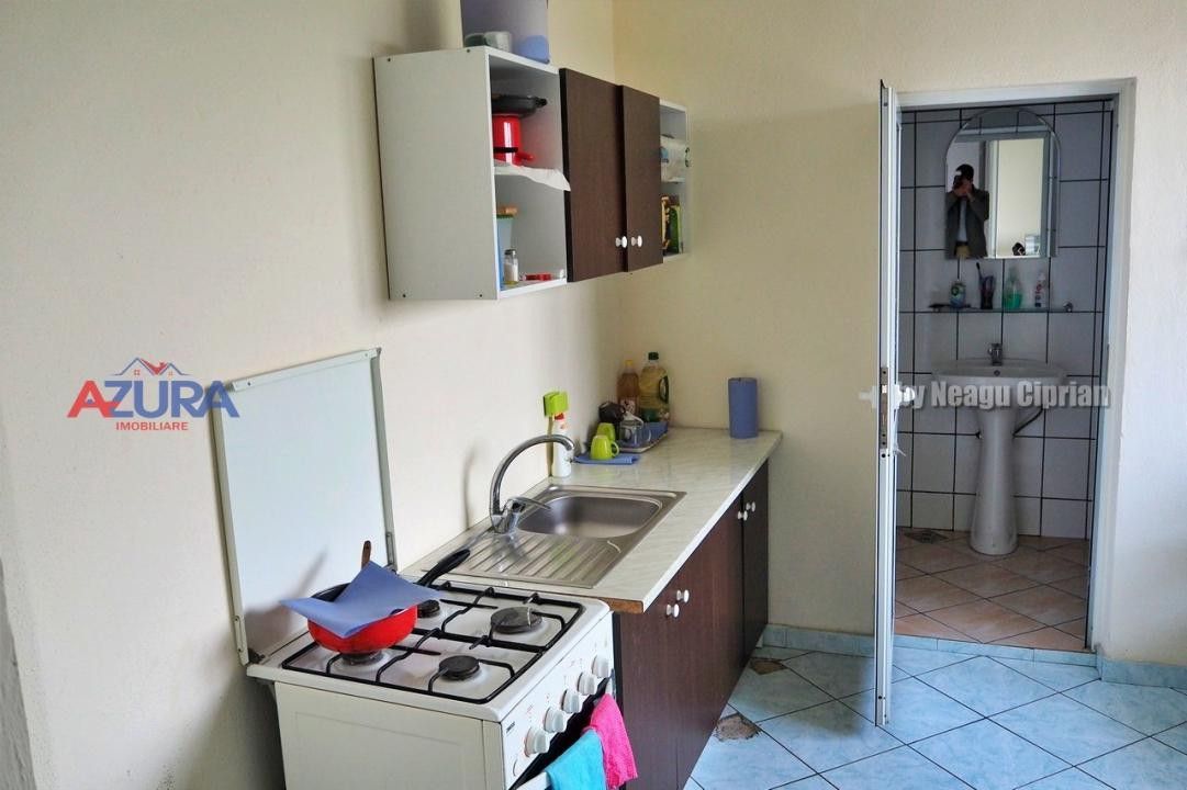 COMISION 0% - HALE Calinesti Arges - Poză 19