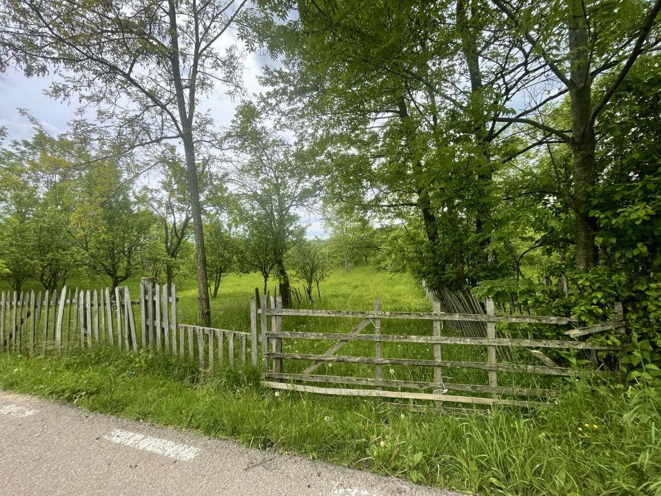 Teren intravilan Sotrile 6762 mp – Investitie, camping, agroturism - Poză 4