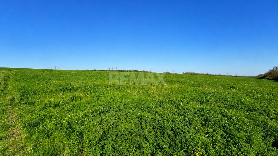 Teren agricol de 40 ari în Ghidighici – oportunitate pentru investiție sau activitate agricolă - Poză 1