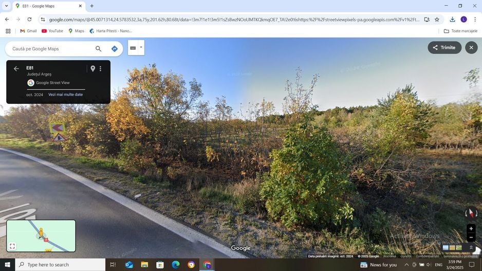 Vanzare teren 10000 mp, stradal DN 7, Moraresti - Poză 1