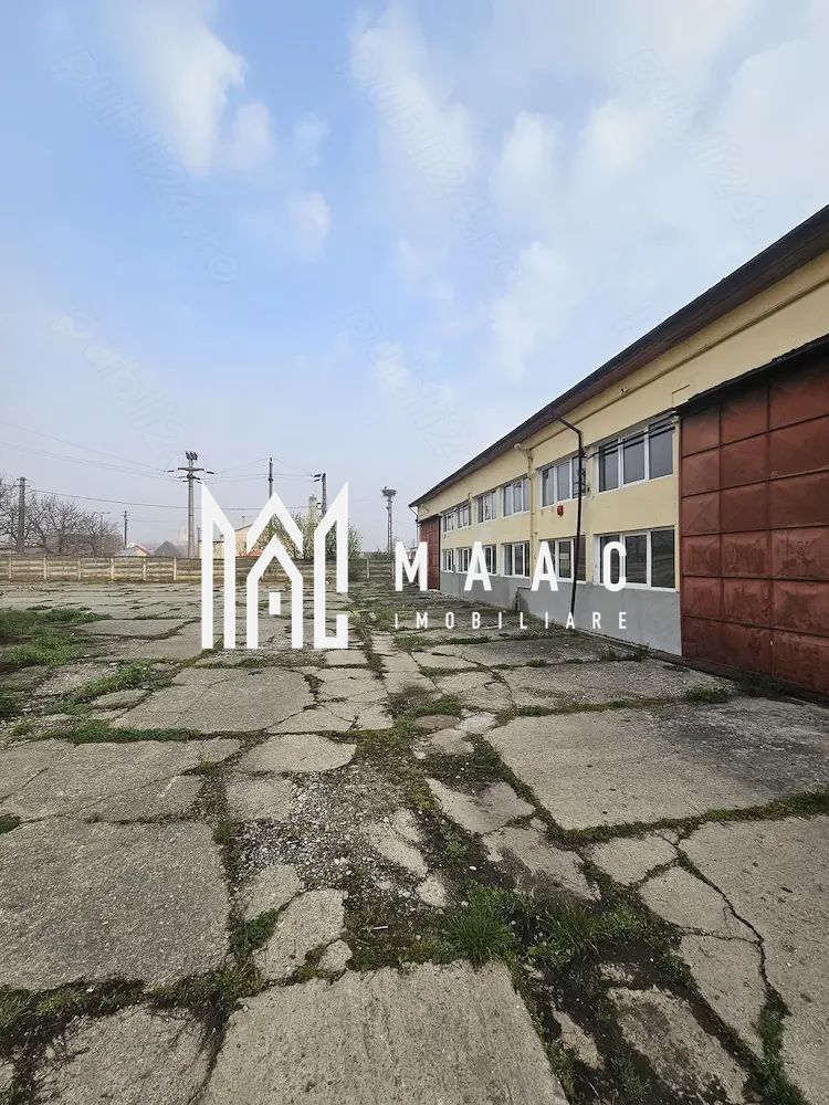 Hala I Spatiu Comercial I Nocrich - Poză 1