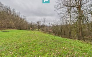 Casă cu teren de 24.679,73 mp, în Hălmagiu, Arad - Poză 20