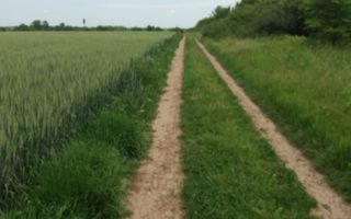 Teren Buftea cu iesire la lac - Poză 4