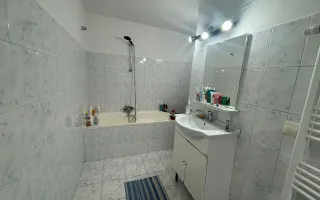 Casa Individuala | 150MPU | 494MP Teren | Sura Mare - Poză 11
